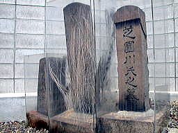 森川竹窓と妻素琴の墓