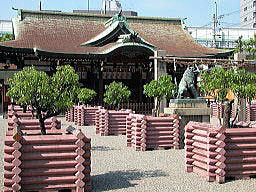 今宮戎神社拝殿前の植木