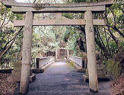 意賀美神社の森