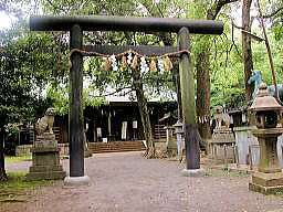 男 神社社殿前の鳥居