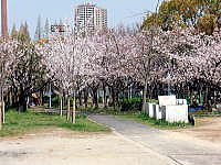 桜宮公園