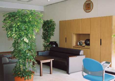 観葉植物のある応接室　会議室