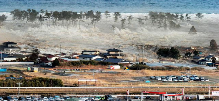 防潮林を飲み込み民家に到達する津波