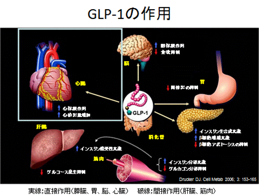 http://www12.plala.or.jp/yuzawa-clinic/clip_image0028.gif